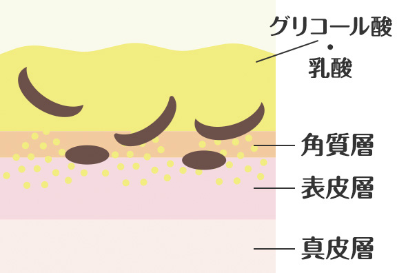 グリコール酸／乳酸