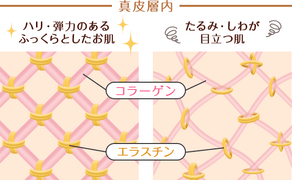 ベビーコラーゲンの効果