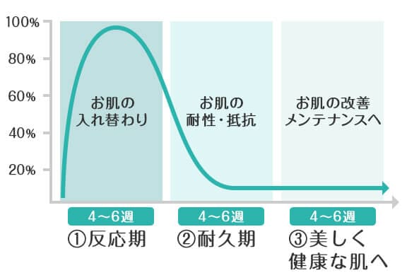 肌が生まれ変わるまでの3つの段階