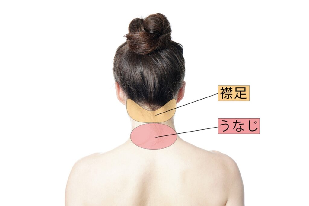 襟足部分の脱毛ができる