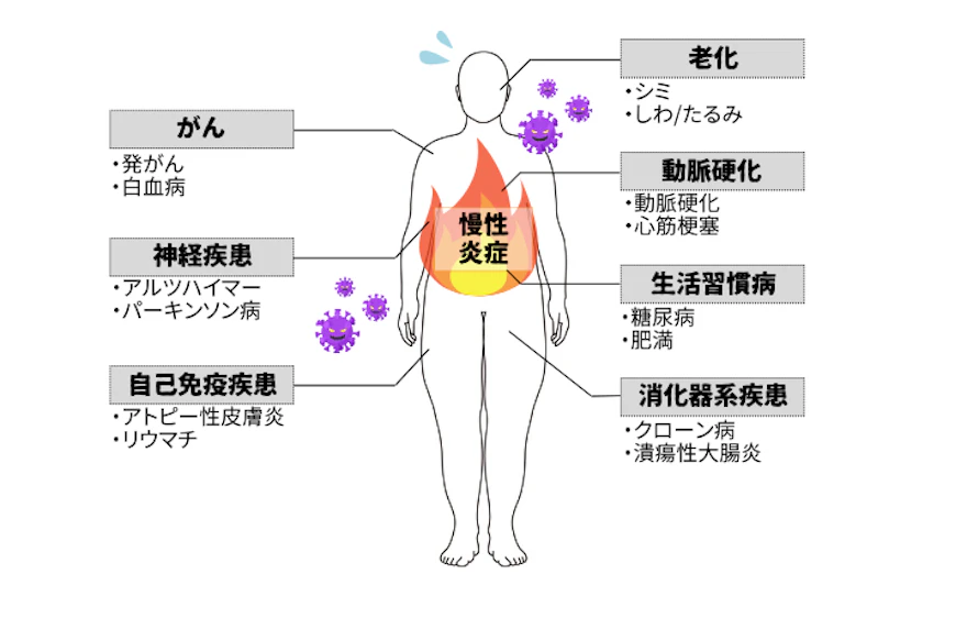 トラブルの原因「慢性炎症」とは