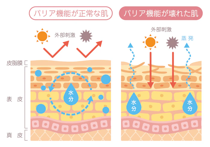 紫外線対策をする