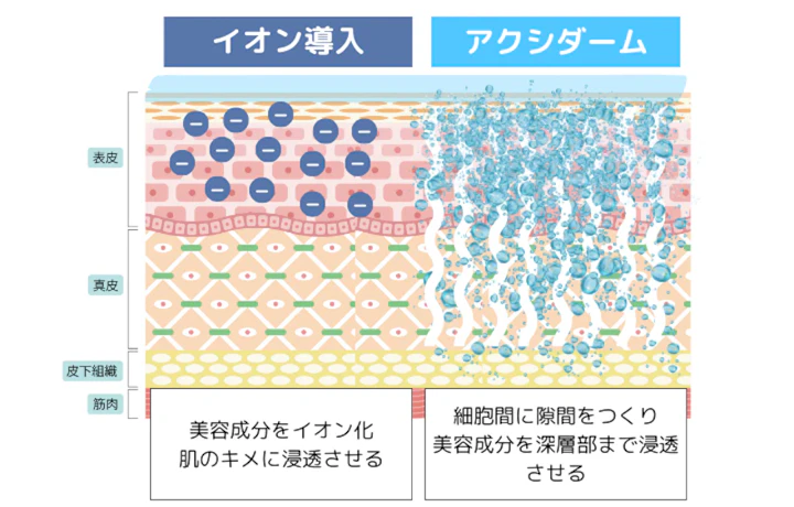 アクシダーム