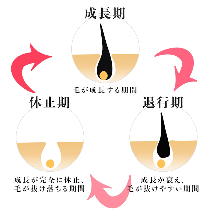 医療レーザー脱毛の仕組み