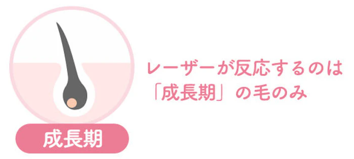 医療レーザーは成長期にあたるムダ毛を処理する