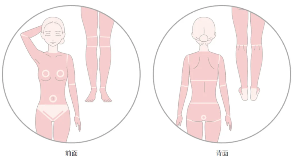 全身脱毛の照射範囲