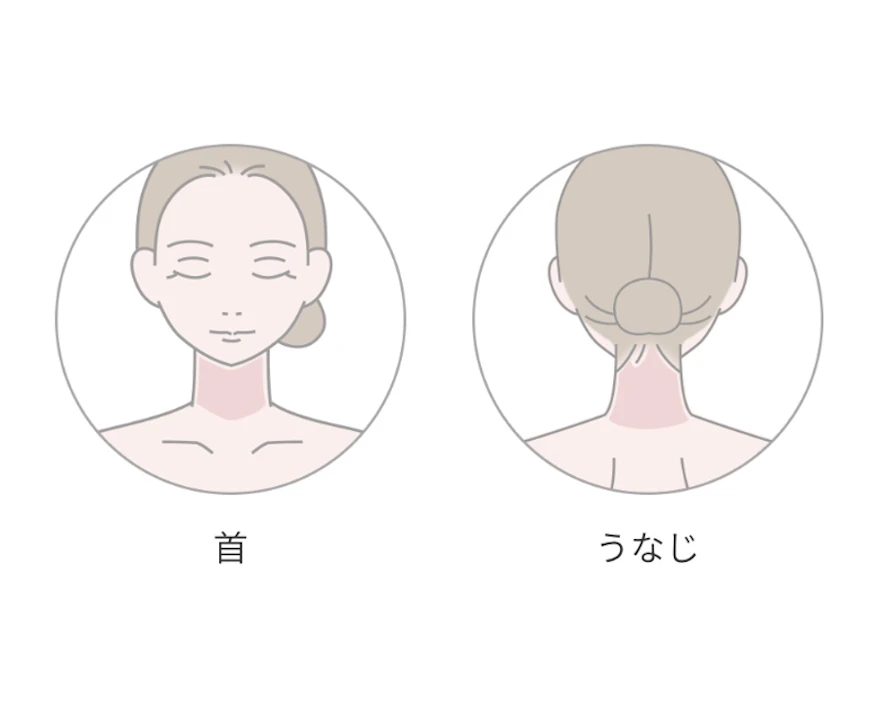 うなじ脱毛・首脱毛の脱毛範囲