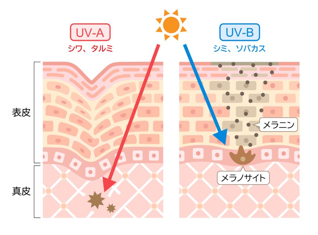 紫外線対策を行う